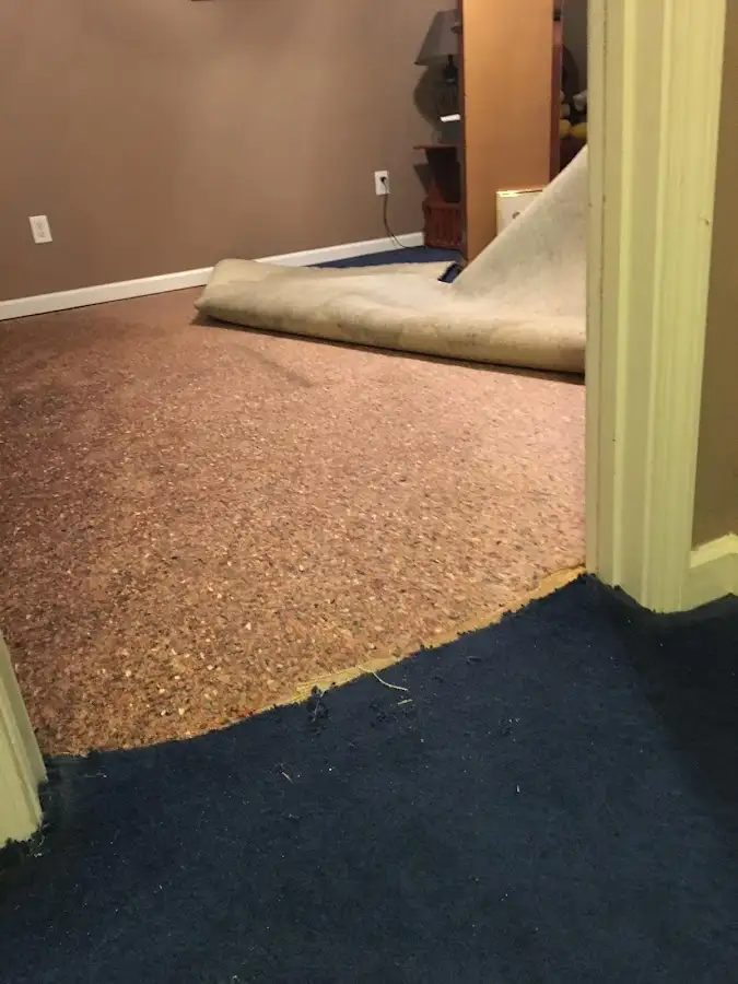 Carpet pad removal revealing water damage during Drying & Dehumidification in DeWitt