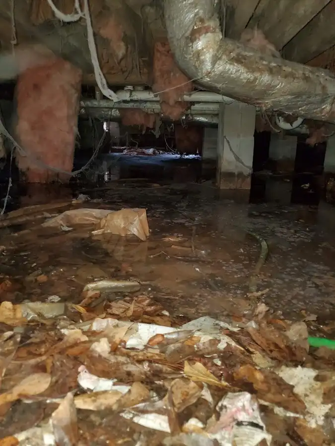 Crawl space flood assessment for Leak Detection & Repair in DeWitt