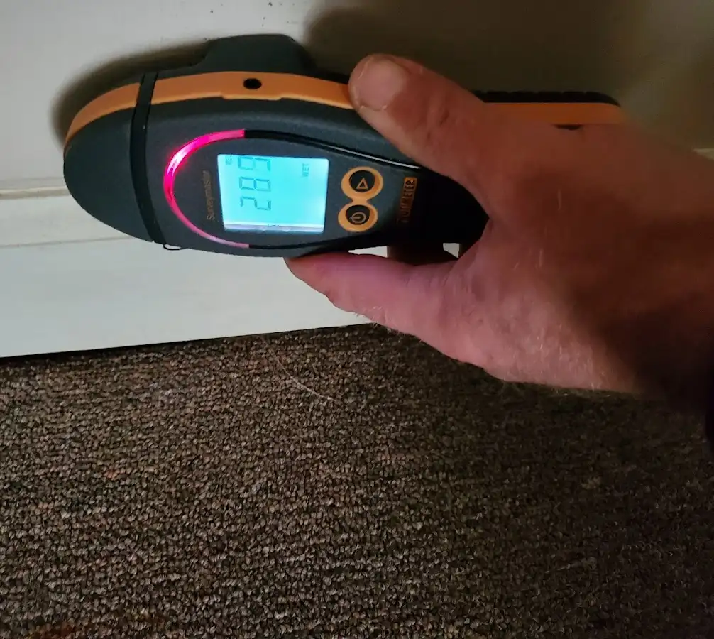 Moisture detection at baseboard during Burst Pipe Cleanup in DeWitt