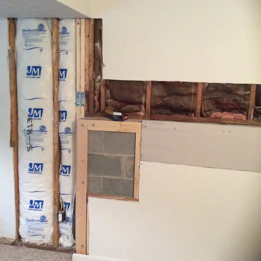 Wall insulation replacement during Odor Removal & Deodorization in DeWitt